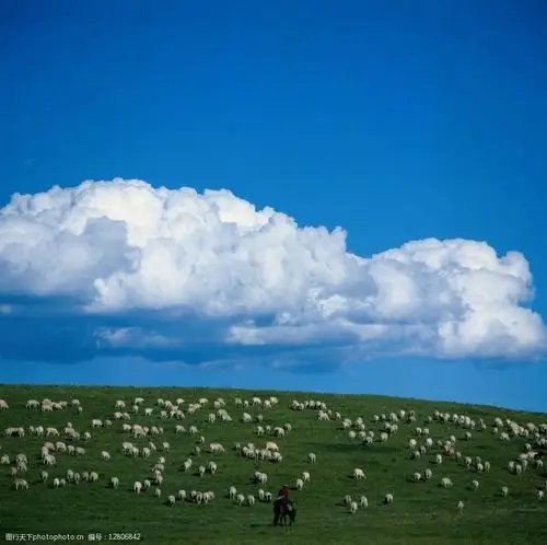 草原牧羊图片
