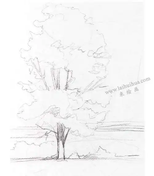 白杨树水彩画法步骤图示01