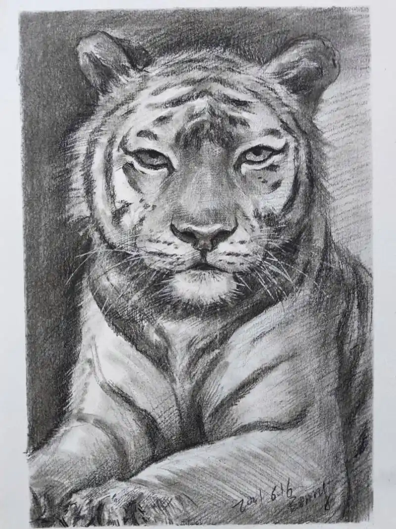 使用工具:康颂素描纸,马利炭笔 绘画步骤 第一步轻轻找位置,比例,画出