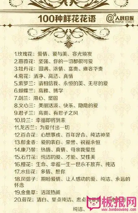 100种鲜花花语大全,过浪漫七夕情人节