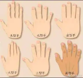(参考王凯的手) 水型手:圆鼓鼓,长短适中,白白的,手指圆圆的,性子急
