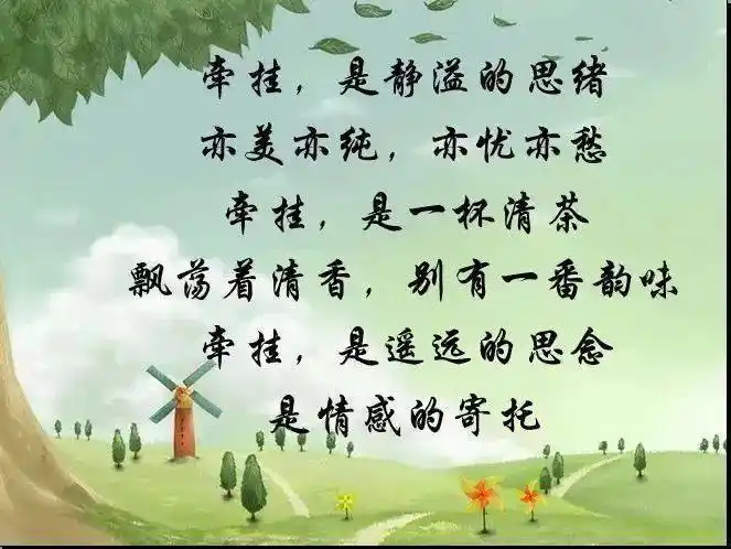 有一种真情,叫牵挂!