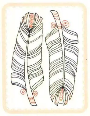 羽毛的简笔画法步骤