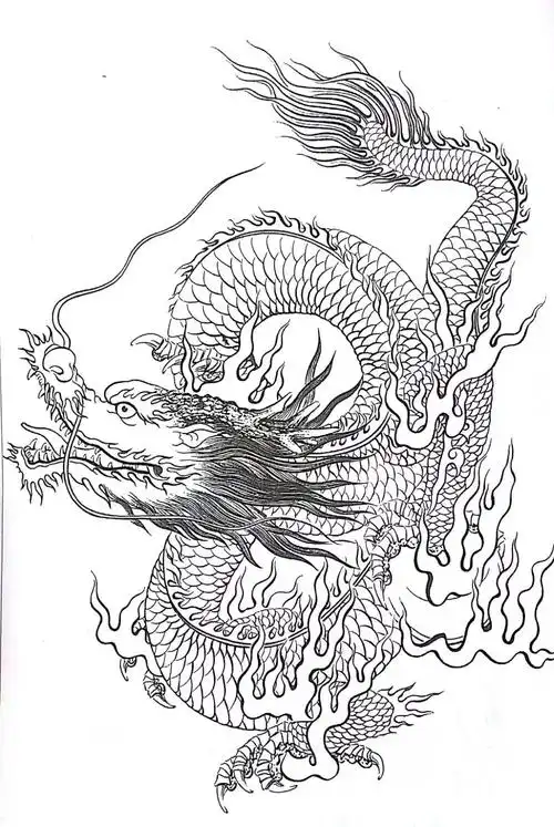 中国龙·白描画稿