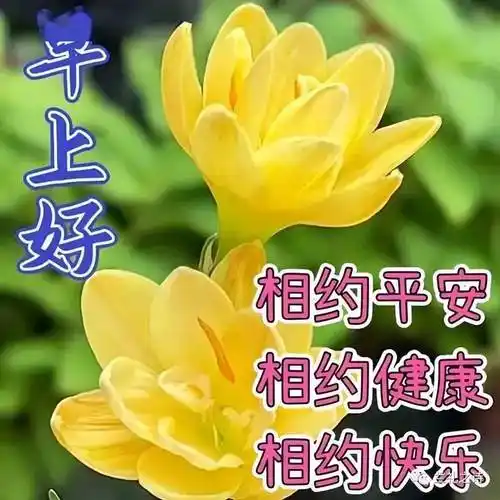 最新漂亮的早上好祝福图片,吉祥如意,平安是福_问候_朋友_人生