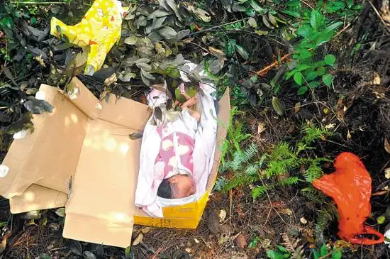 被遗弃在山上的女婴