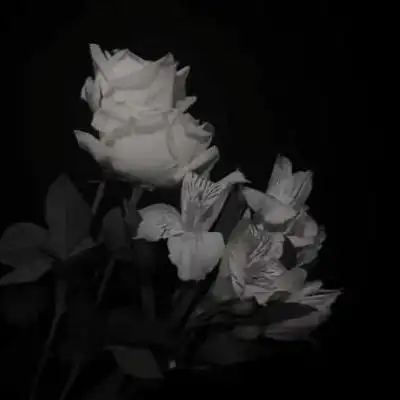 高级感黑白背景图 |于那时起,就幻_唯美图片_我要个性网