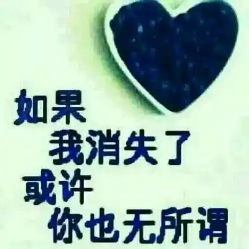 如果我消失了或许你也无所谓