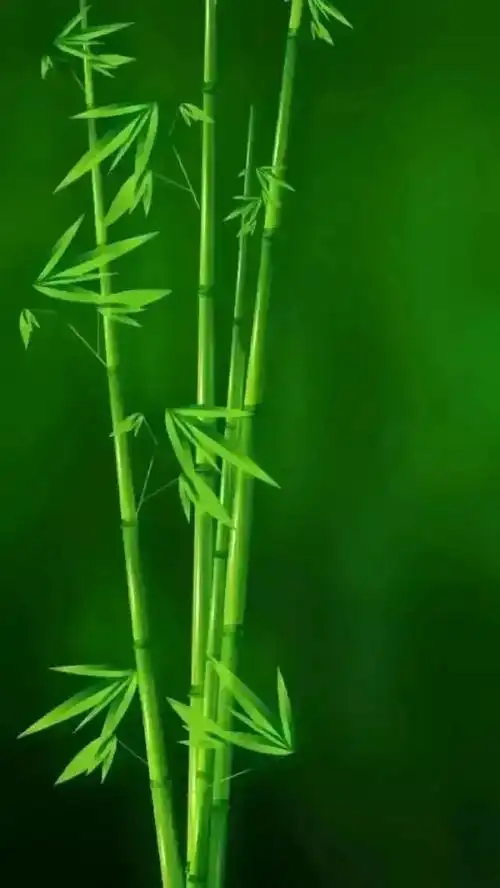 绿色养眼高清壁纸