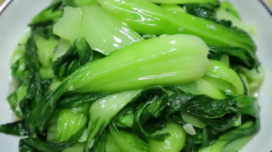 推荐几道特色美食的做法,白菜炖豆腐上榜,青椒肉丝清脆爽口