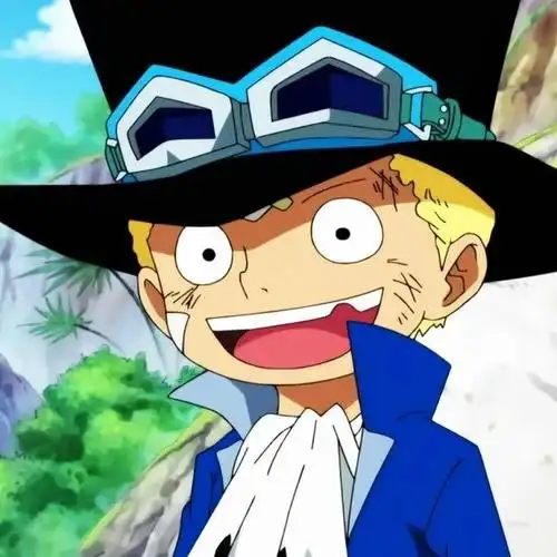 海贼王头像 |小时候的萨博