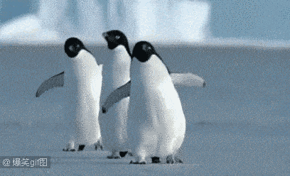 企鹅"鹅生"颜值最低时期,真杀马特