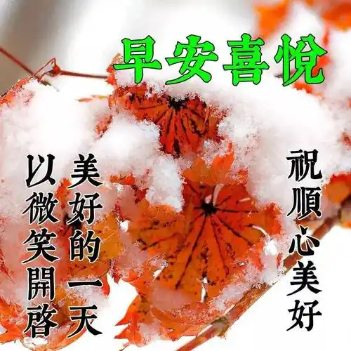 原创非常漂亮早安问候语图片唯美带字微信早上好祝福语录大全