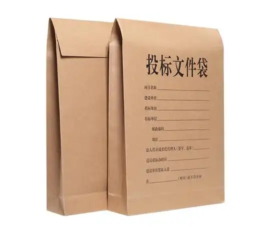 标书密封袋 10个投标专用文件袋密封投标专用文件袋投标投标文件加大