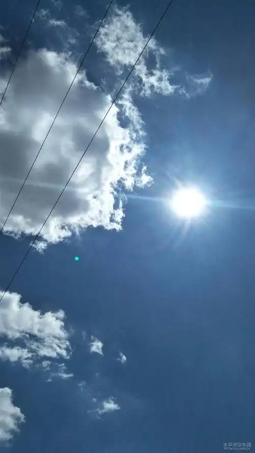 烈日炎炎行车安全记心间