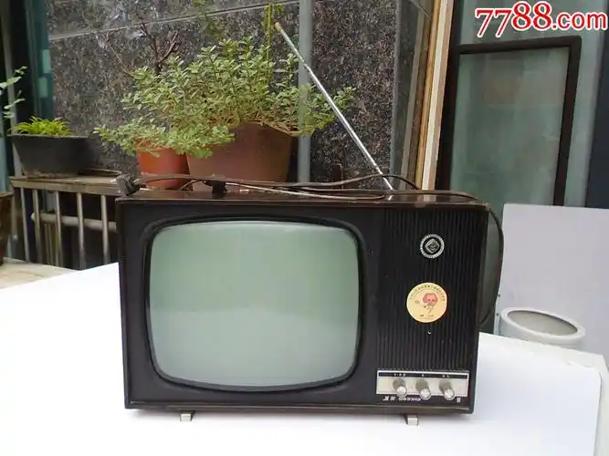 熊猫牌12寸黑白电视机序号0016713熊猫db31h2集成,包老包_电视机_图片
