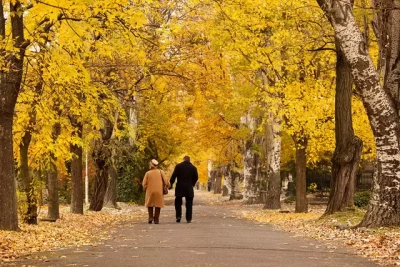 有一种画面叫幸福,这种幸福叫白头偕老.