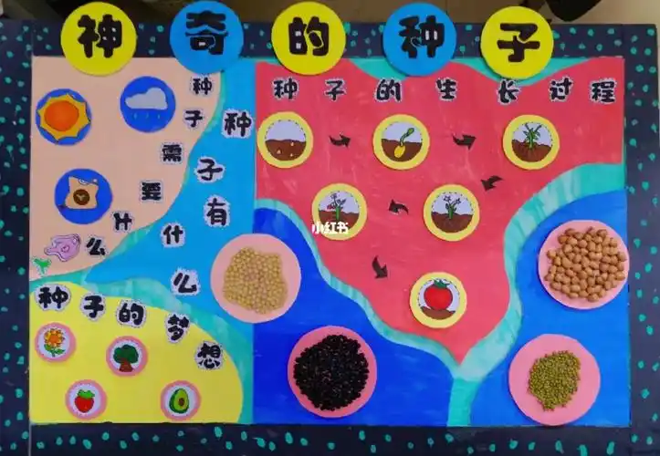 神奇的种子主题墙