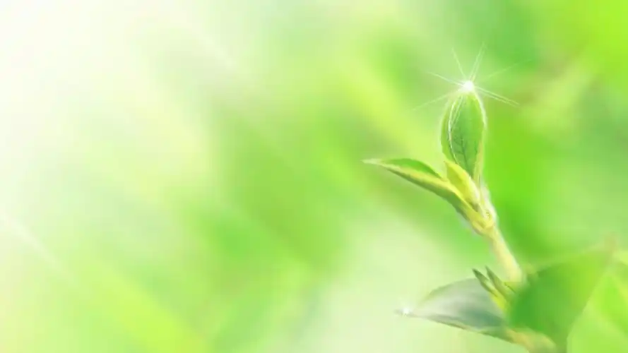 浙江服装批发市场有哪些?在哪里?