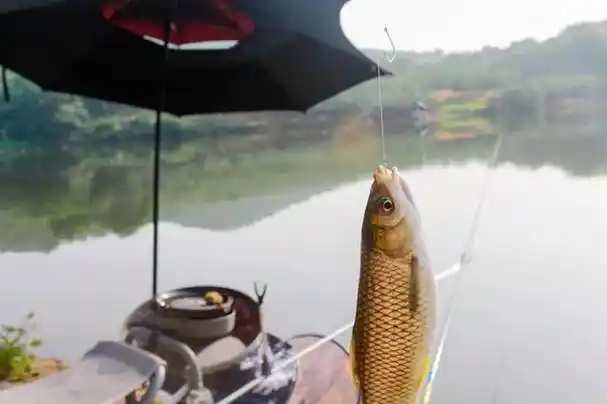 秋天天气渐凉,已经不适合下水,人们抓鱼的兴趣也淡了下来……打鱼大