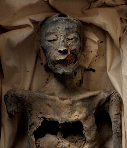 揭开埃及法老图坦卡蒙家族木乃伊身份之谜