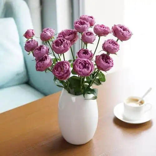 【花年】云南昆明多色多头小玫瑰泡泡花鲜花速递空运到家_7折现价22.