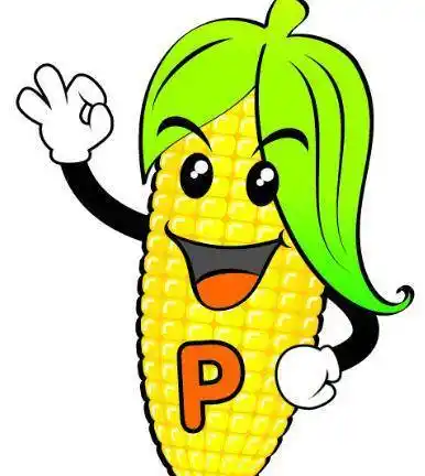 玉米简笔画 玉米简笔画可打印
