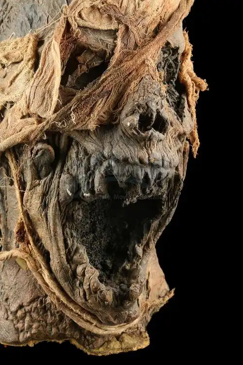 干尸木乃伊高清照片mummymummyhd