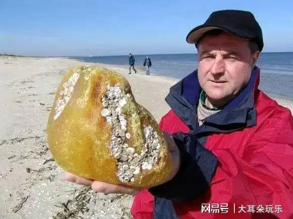 琥珀大家耳熟能详它产地有哪些地方别较劲也许你还真不知道