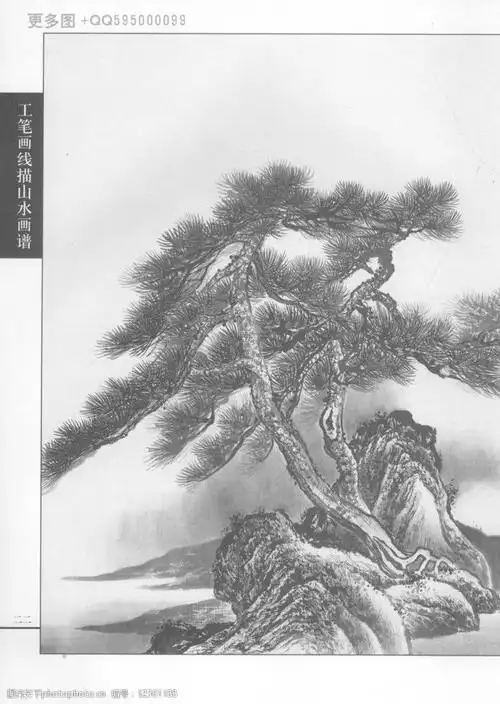 工笔画线描山水画谱树石01图片