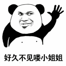 好久不见喽,小姐姐(熊猫头撩妹)_撩妹_小姐姐_好久不见_熊猫表情