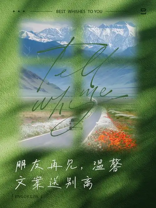 离别不是终点, 而是新的起点 5