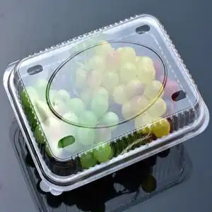 水果塑料包装盒1000图片