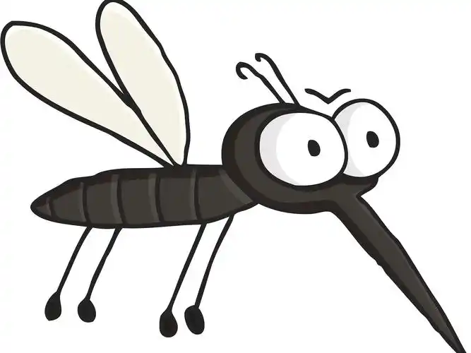 除四害公司关于蚊子的防治