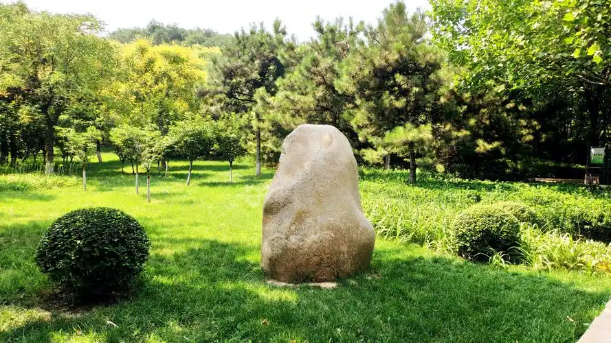 南高基公园观赏石集锦jss