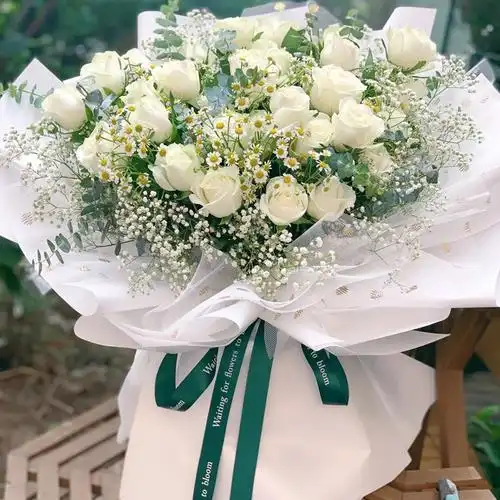 flowers花海·19朵粉玫瑰 6朵白玫瑰满天星【图片 价格 品牌