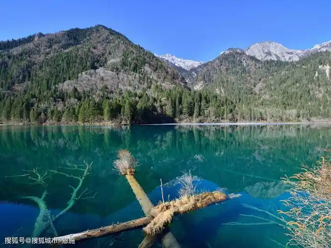 四川旅游攻略本地团7天6晚一般多少钱,省钱攻略!
