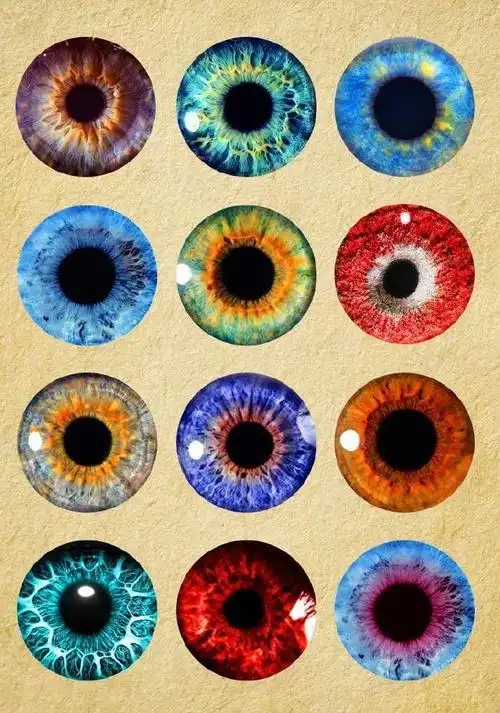 绘画参考#瞳孔参考