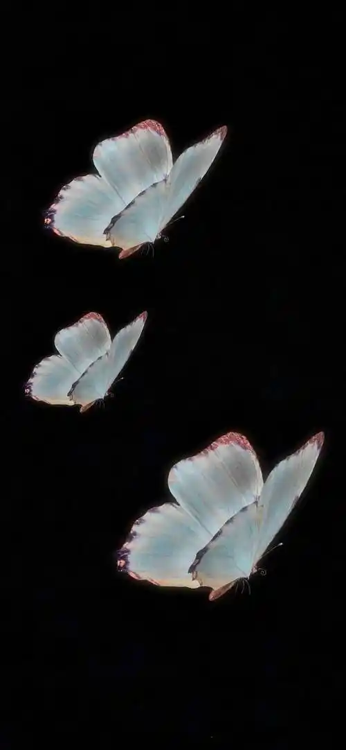 黑色系壁纸 | 高级感简约锁屏壁纸