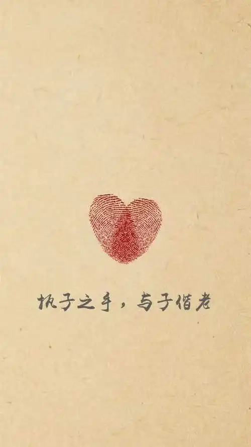 执子之手与子偕老  知新