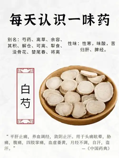 中药知识科普白芍60功效作用