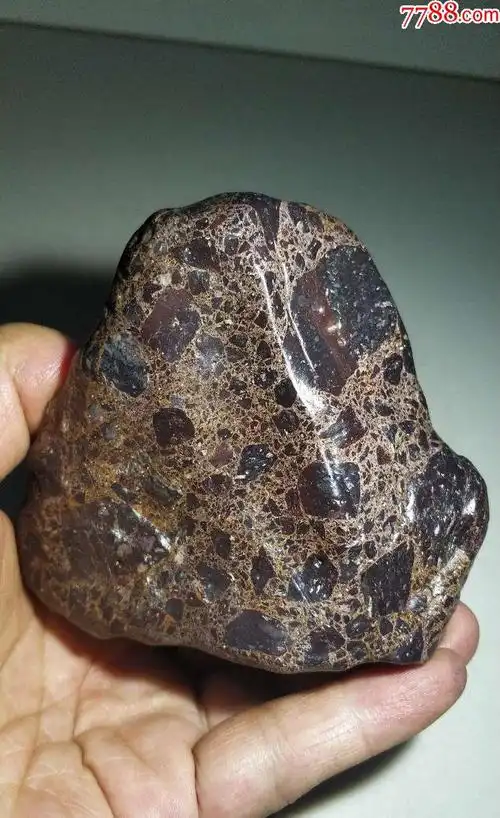 4218新疆哈密棕色大晶格花伊丁陨石陨铁507克