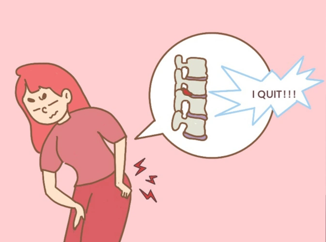 总干位于臀大肌深面,经股骨大转子和坐骨结节之间,下降至股骨背侧