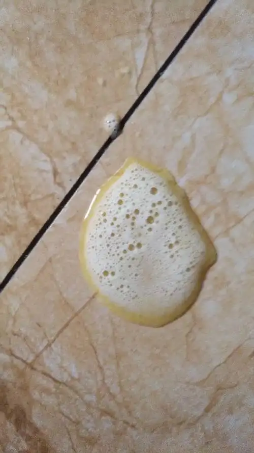 狗狗吐出白色液体上面有白色泡沫泰迪狗.