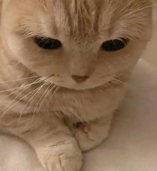 2021年小众qq微信个性头像大全