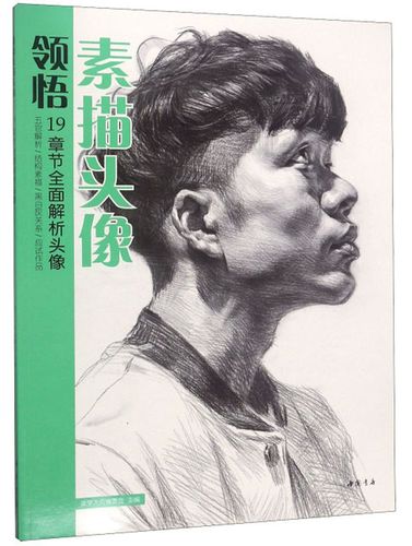 正版包邮 领悟素描头像 美学大师委会 素描自学入门基础教程教材 零