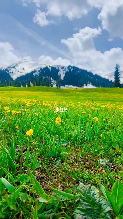 新疆伊犁那拉提草原