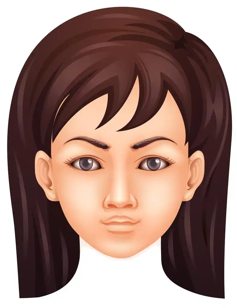 人脸,人的面部特征的插图