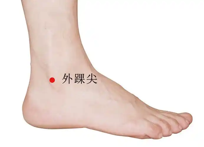 外踝尖穴准确位置视频图作用功效配穴方法