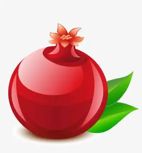 【碧荷诗韵】每周一诗《石榴》(吴桐欣)